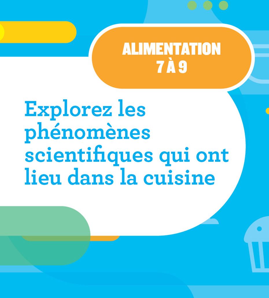 Liens avec les programmes d’études