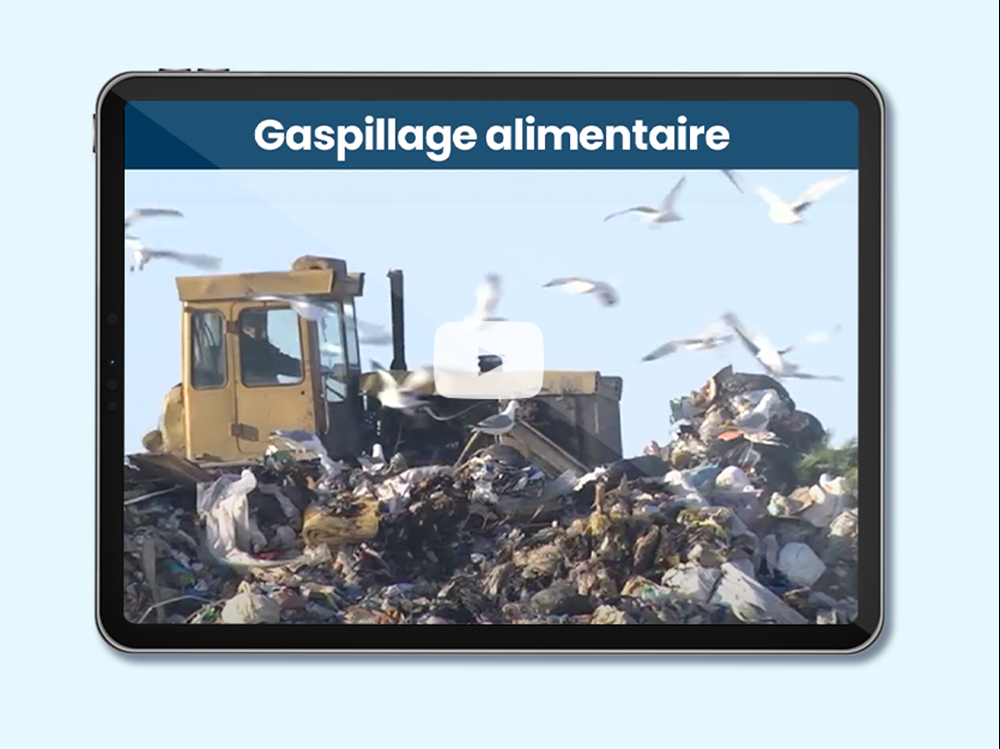 Nourrir le Canada: Gaspillage alimentaire